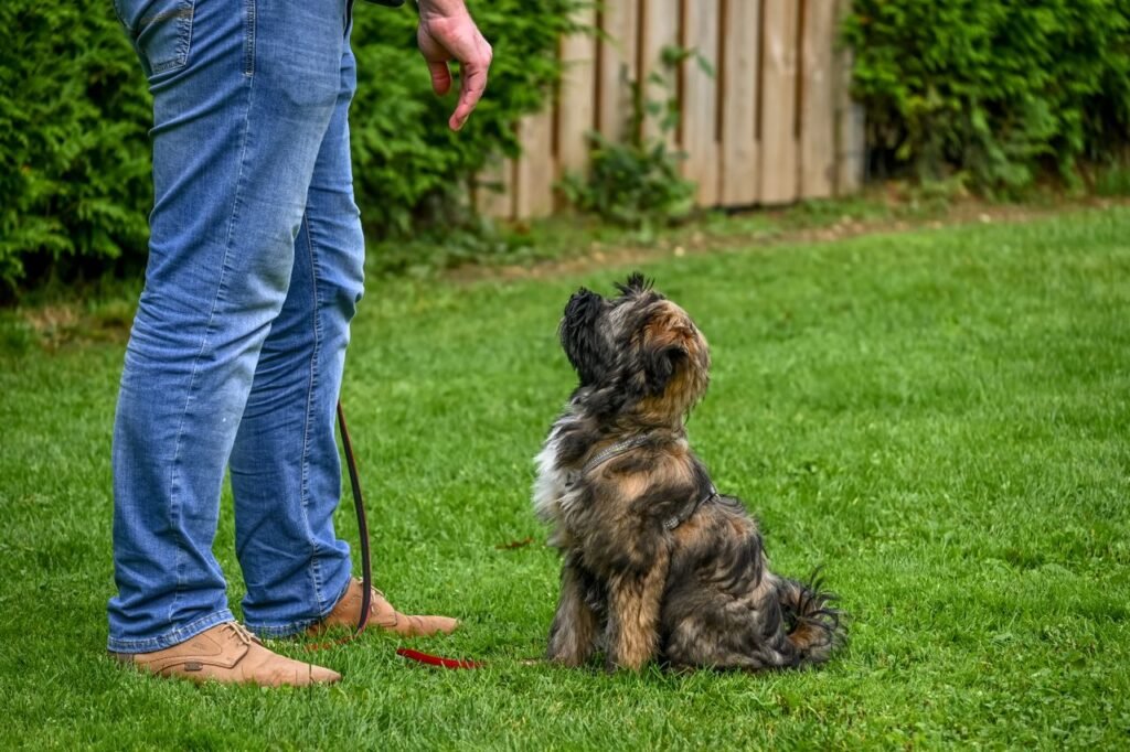 Photo at Fern & Fawn Dog Salon, York